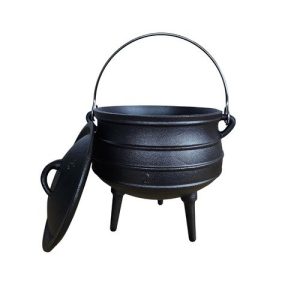 פויקה מס' 2 - CACTUS