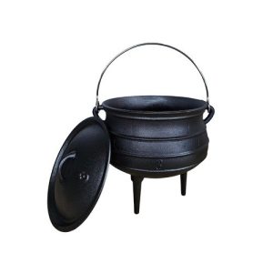 פויקה מס' 3 - CACTUS